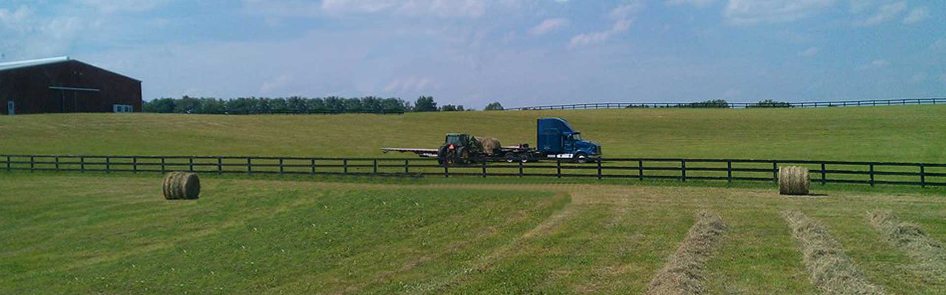 Florida Hay Now Hay Sales and Delivery